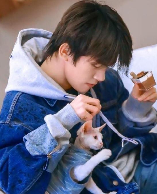 央视王冰冰与猫咪可爱互动!两手各抱一只猫,开心到露齿闭眼大笑