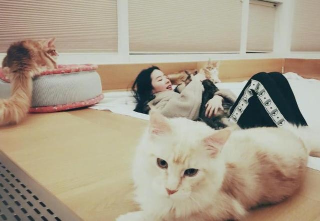 央视王冰冰与猫咪可爱互动!两手各抱一只猫,开心到露齿闭眼大笑