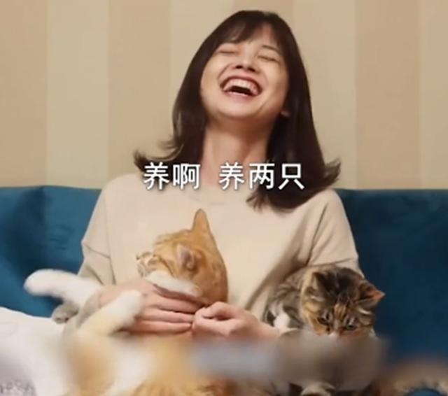 央视王冰冰与猫咪可爱互动!两手各抱一只猫,开心到露齿闭眼大笑