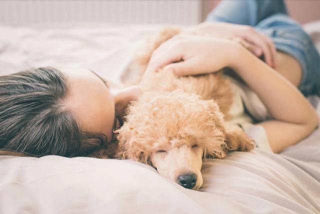 dogs like to sleep next to their owners for a reason