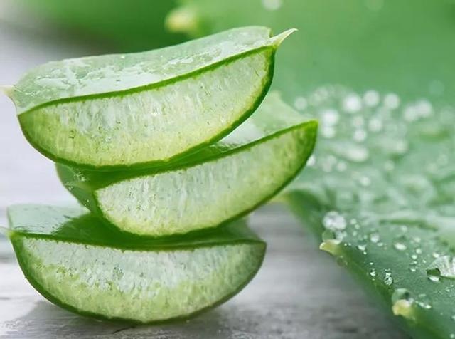 take stock of the "23 foods" that dogs must never eat.