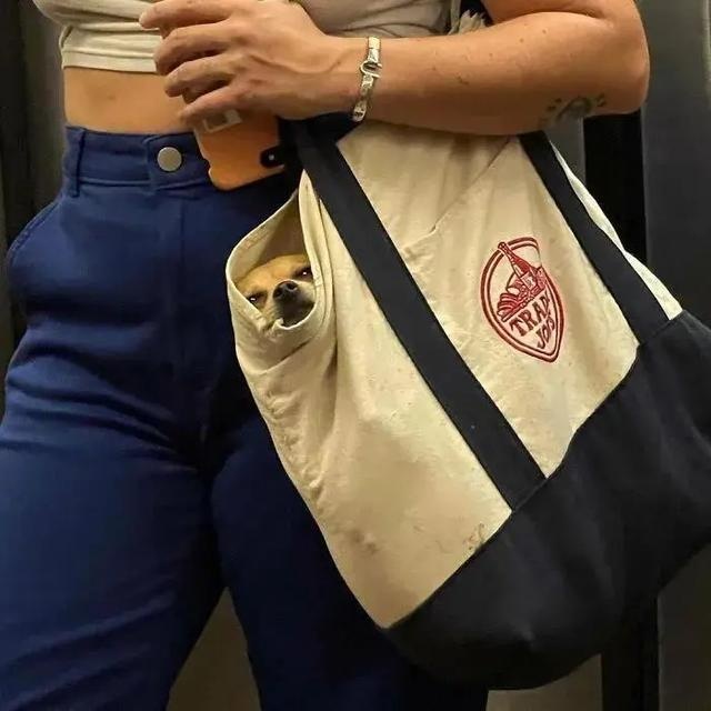 no one can beat the new yorker when it comes to dog bags