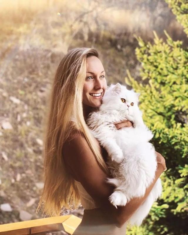 为什么越来越多人养“波斯猫”?网友:养了之后就不想换猫了