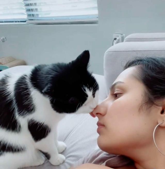 猫咪不爱玩具,偏喜欢在储物柜里抱着土豆睡觉,背后原因让人泪目