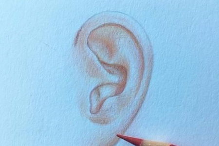 耳朵有这3种表现，或许是身体不健康了(图2)