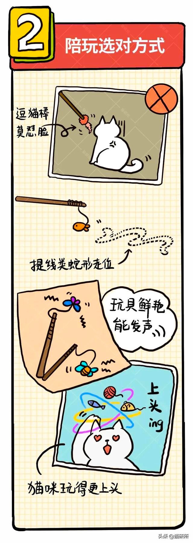 6个哄猫咪开心的小技巧,包教包会