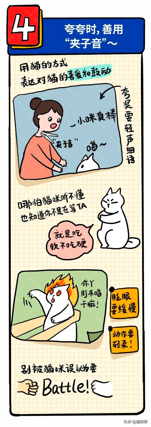 6个哄猫咪开心的小技巧,包教包会