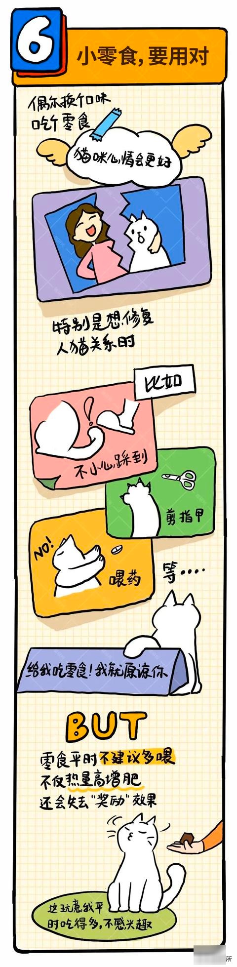 6个哄猫咪开心的小技巧,包教包会