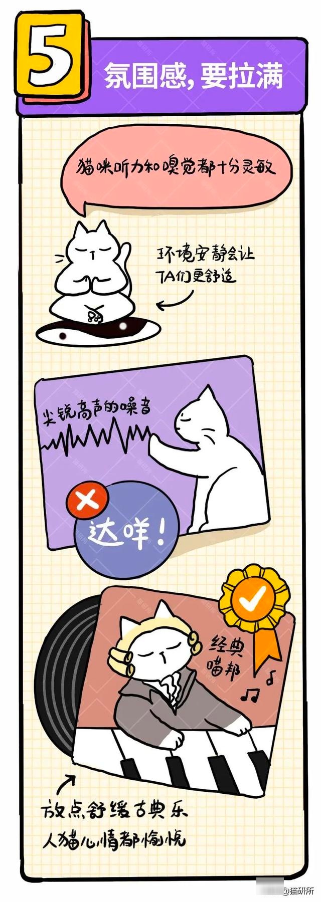 6个哄猫咪开心的小技巧,包教包会