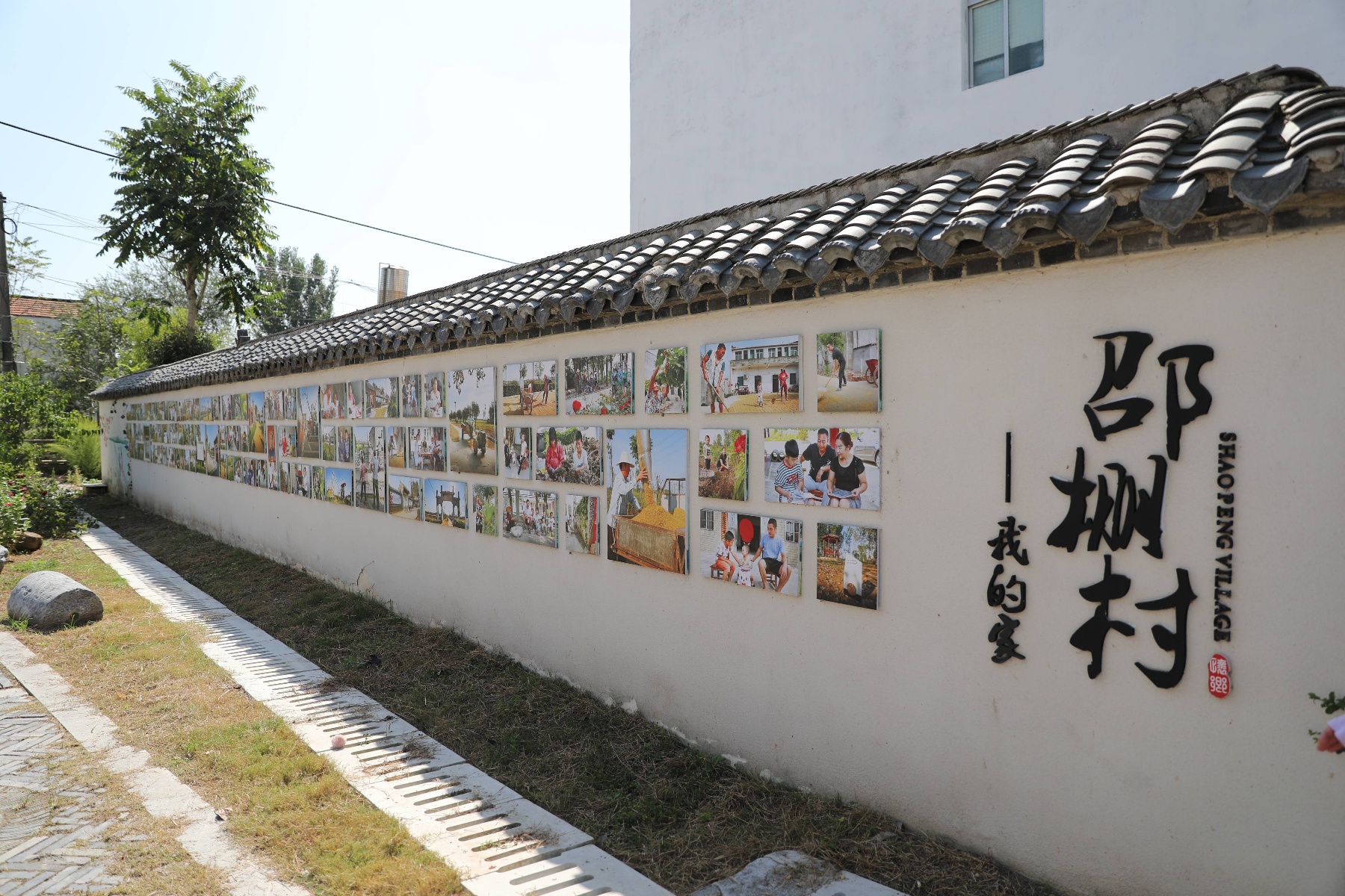 村→何岗村(东西官庄→双沟镇池阳新村(添安采摘园可在冬春采摘草莓