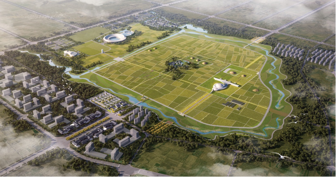 淮南武王墩考古遗址公园,传来新消息!