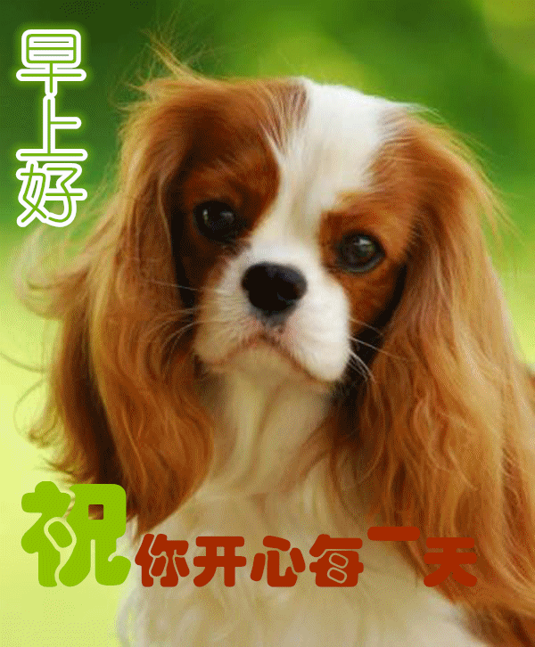 1月17日最新早上好动态表情图片大全,早上好祝福语句子!