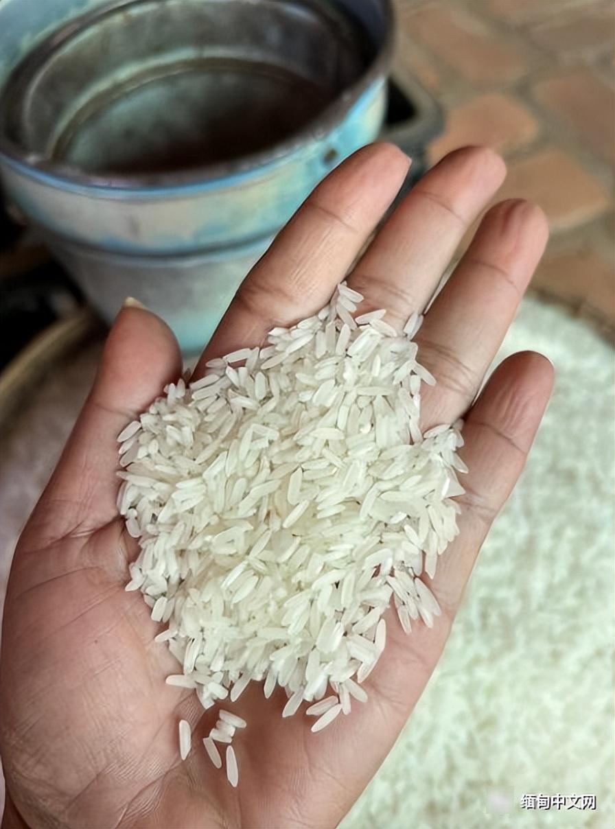 缅甸稻谷,大米价格上涨