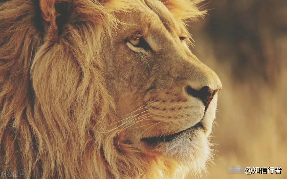 逆向思维:真正内心强大的人几种特征,看看你占到了几种