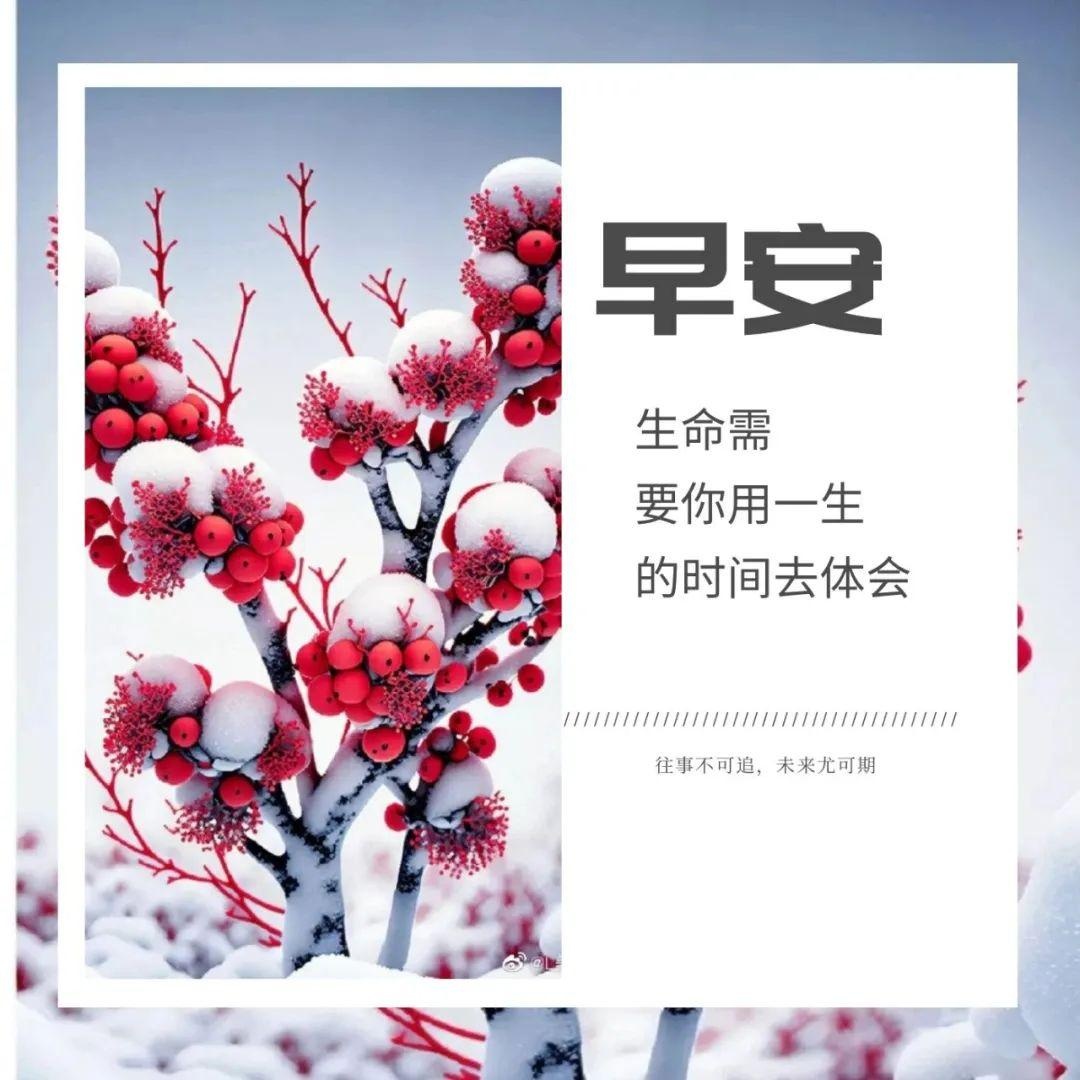 02」早安心語,正月十二祝福語句,大年十二問候圖片