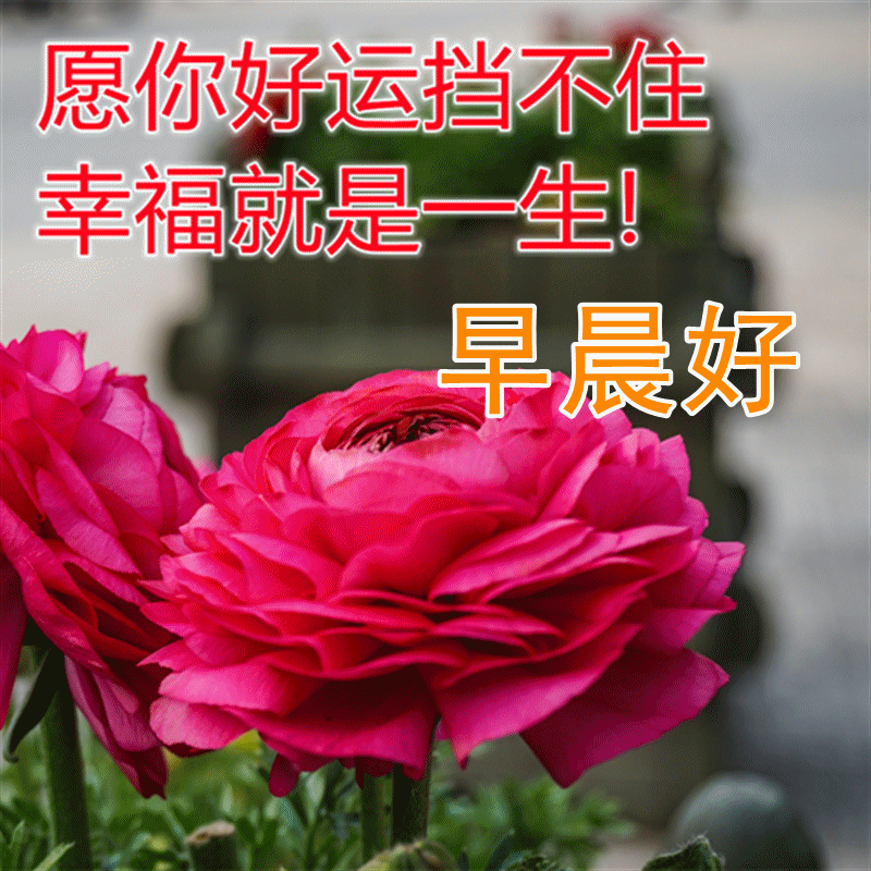 人不能自卑,自卑把自己看得太低,什么事都做不成