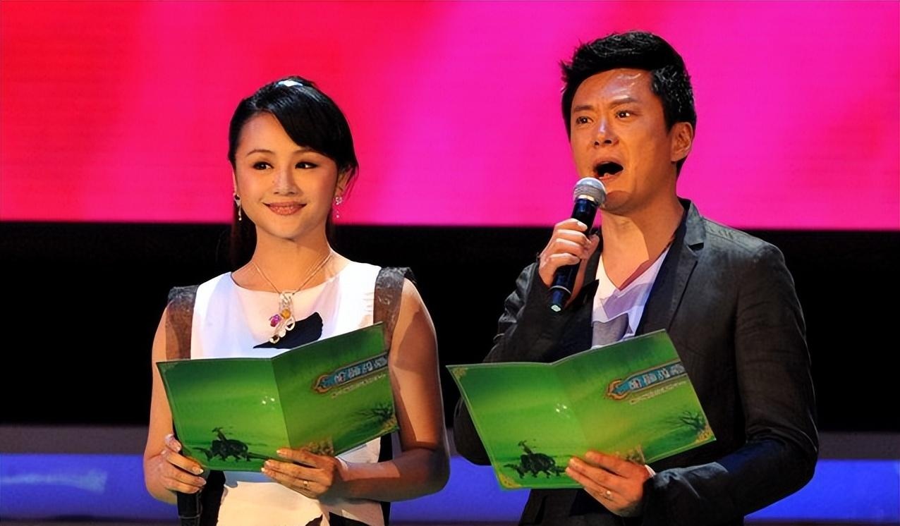 先后主持的节目有很多,唯独《综艺大观》格外受观众喜爱