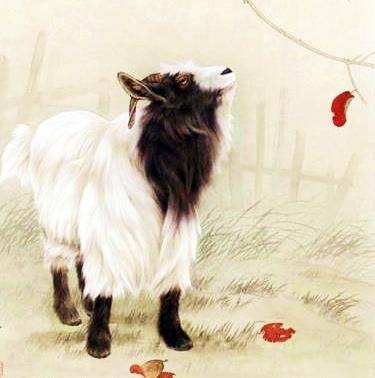 兔年大显身手,钱包发福的四个生肖,努力用心能成功