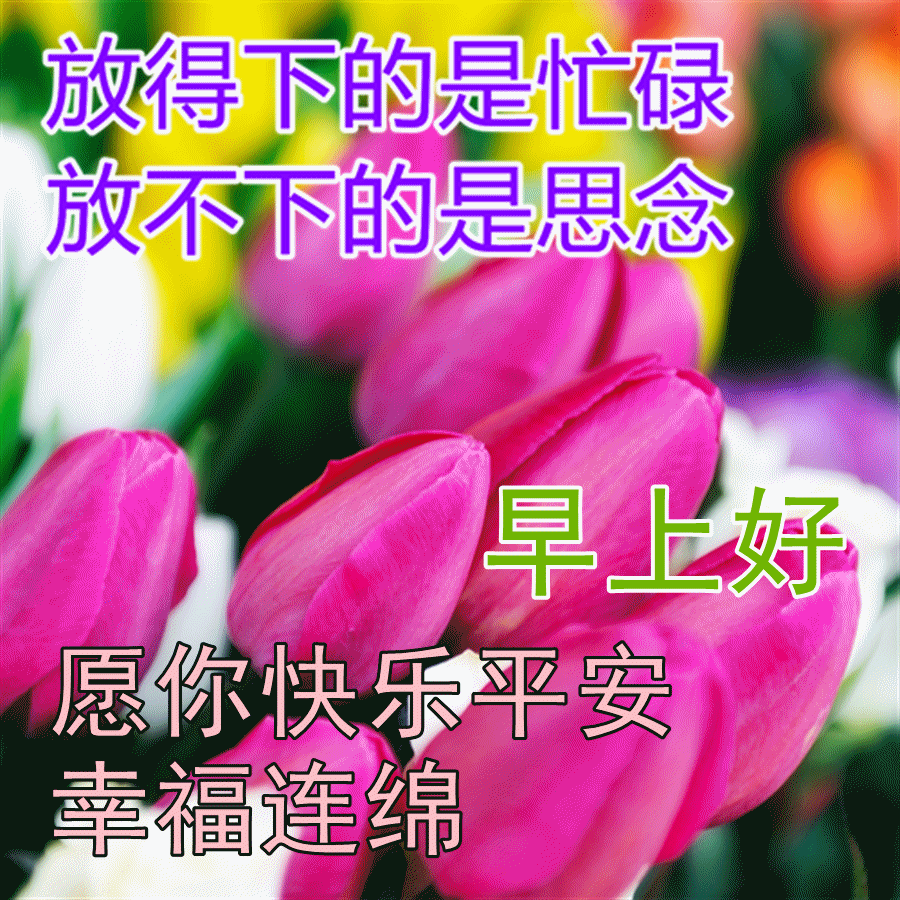 耐得住寂寞,才守得住繁华