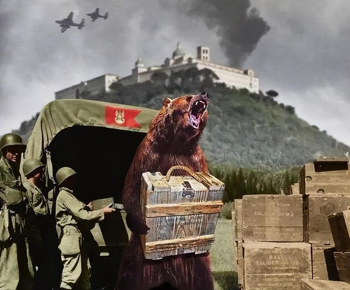 棕熊泰克:二战中唯一的熊兵,能抓间谍运炮弹还会泡妞|轶事